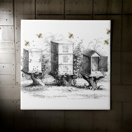 Carreau Ruches d'abeilles en bois Aiguille Noir Beige |