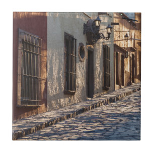Carreau Rue pavée de Mexico