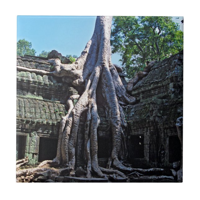 Carreau Ruine de Ta Prohm - Angkor Vat, Cambodge, Asie (Devant)