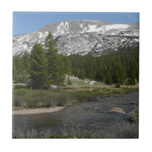 Carreau Ruisseau de montagne de High Country II à Yosemite