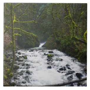 Carreau Runoff from Bridal Veil Falls