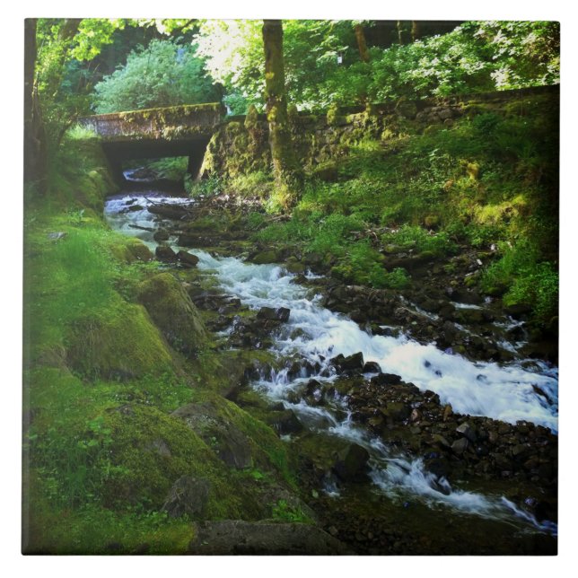 Carreau Runoff from Wahkeena Falls (Devant)