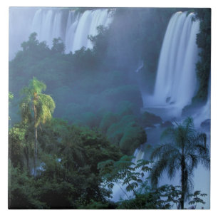 Carreau SA, Brésil, État de Parana; Iguacu NP, Iguacu