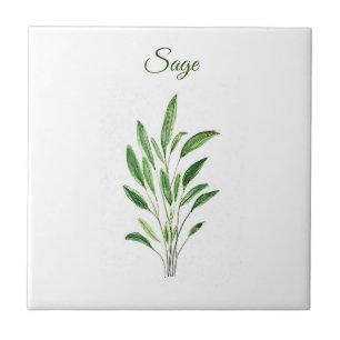 Carreau Sage Herbe Verdure Cuisine culinaire Vert rustique