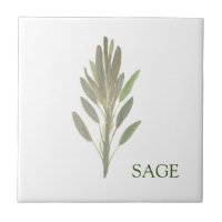 Sage Herbe Vert Cuisine Cuisine Vert Plante culina