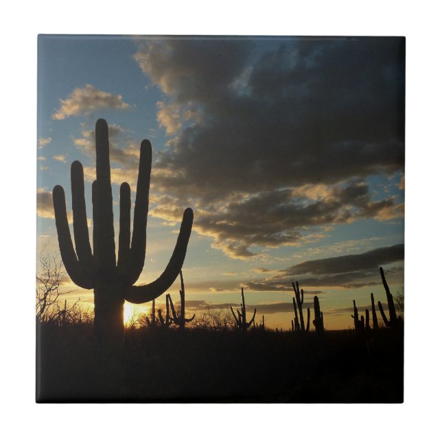 Carreau Saguaro Sunset II Arizona (Devant)