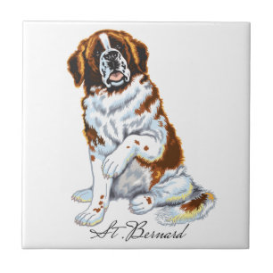 Carreau saint bernard