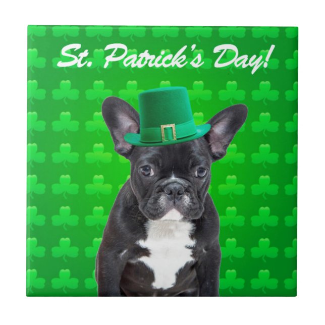 Carreau Saint Patrick, Chien de taureau français (Devant)