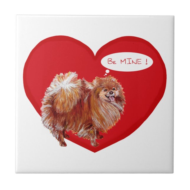 Carreau Saint-Valentin spitz nain (Devant)