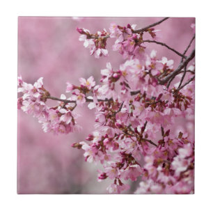 Carreau Sakura Cherry Blossoms Pastel Pink Layers
