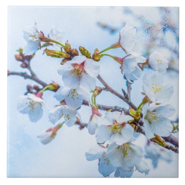 Carreau Sakura - Fleur de cerisier japonaise (Devant)