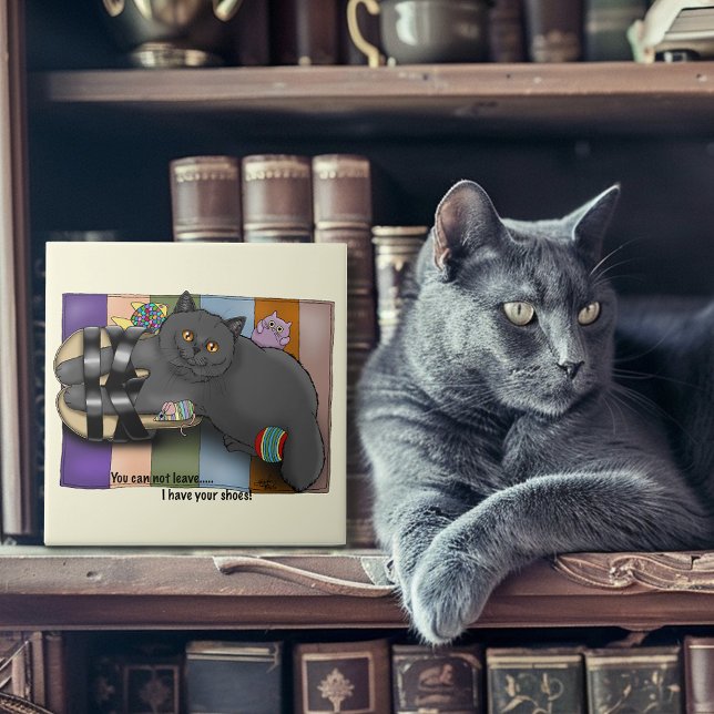 Carreau Sandales British Shorthair Prêtes pour la Plage Dr (Créateur téléchargé)