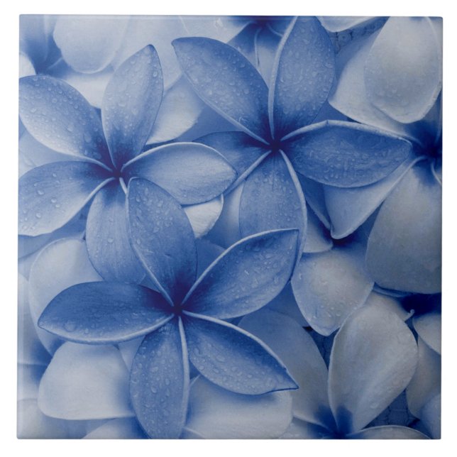 Carreau Sapphire et fleurs azur (Devant)