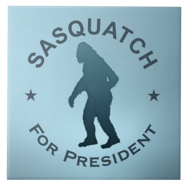 Carreau Sasquatch, Président (Devant)