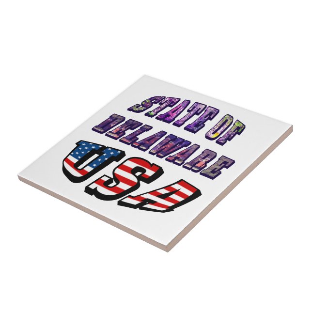 Carreau Sate of Delaware Picture et USA Flag Text (Côté)