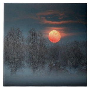 Carreau Scalenghe en Piémont, Italie