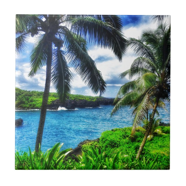 Carreau Scène du Hawaïen IMG_1122 4 (Devant)