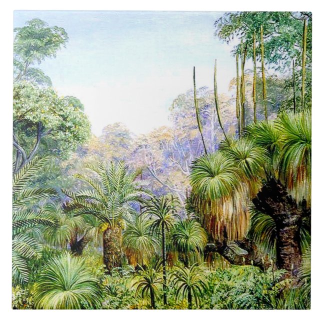 Carreau Scène nord - Forêt en Australie occidentale, vinta (Devant)