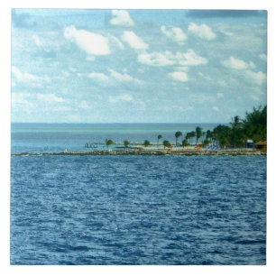 Carreau Scène tropicale