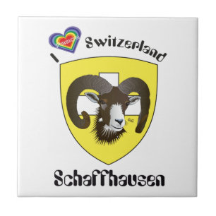Carreau Schaffhouse Suisse