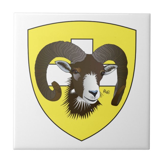 Carreau Schaffhouse Suisse (Devant)