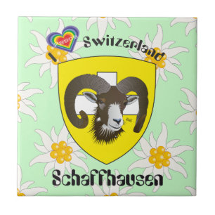 Carreau Schaffhouse - Suisse - Suisse - Svizzera Fliese