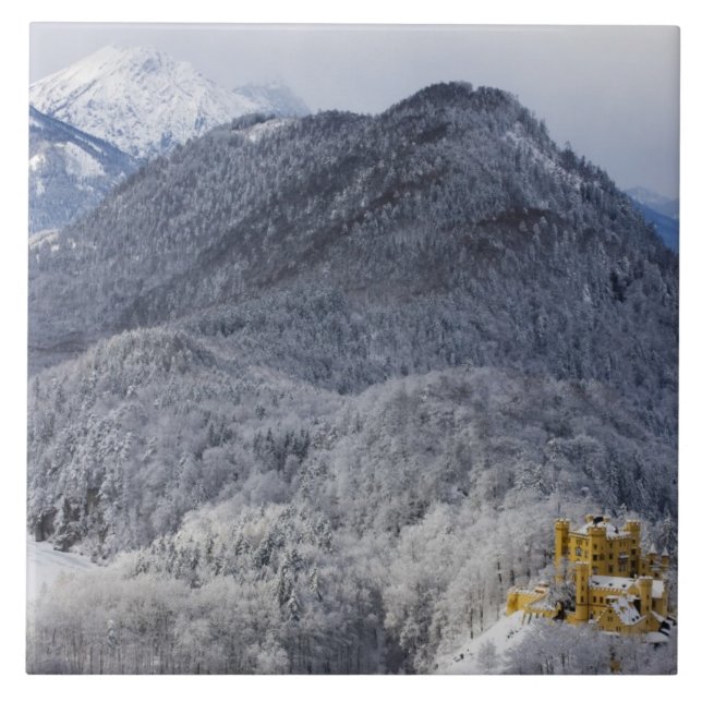 Carreau Schloss Hohenschwangau (Devant)