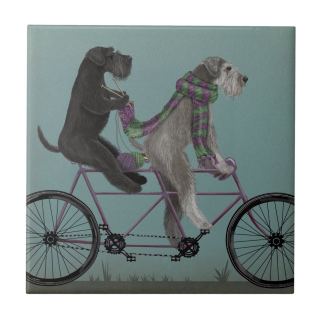 Carreau Schnauzer Tandem (Devant)