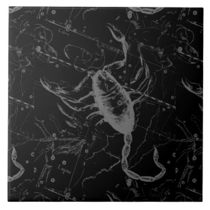 Carreau Scorpio Constellation Hevelius 1690 Vintage Noir