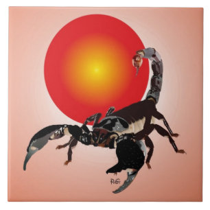 Carreau Scorpion céramique photographiée