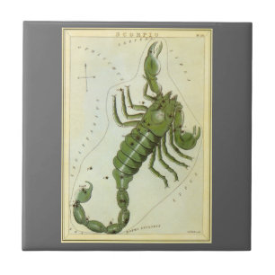Carreau Scorpion, Constellation Vintage Urania's Mirror