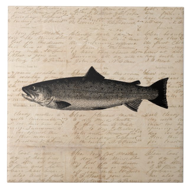Carreau Scripts d'illustrations de poissons de truites d'a (Devant)