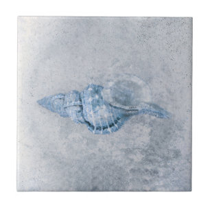 Carreau Sea Shell Blue Antique Vintage Ocean Beach Texture