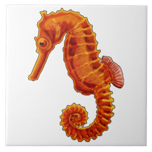 Carreau Seahorse