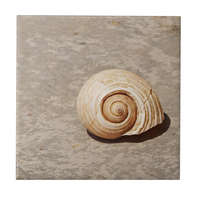 Carreau SeaShell (Devant)