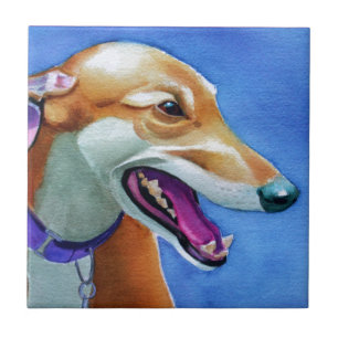Carreau Secourt Greyhound