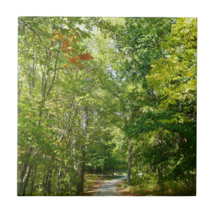 Carreau Sentier boisé du centenaire à Ellicott City Nature