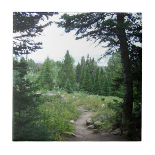Carreau Sentier Grand Teton