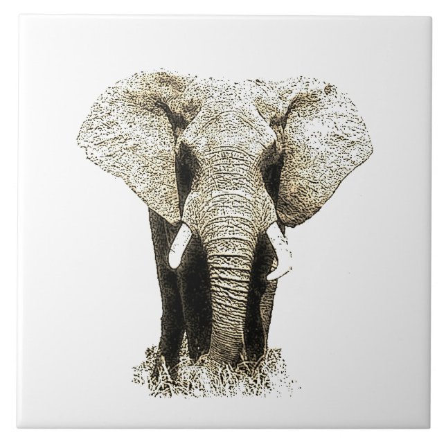 Carreau Sepia Elephant (Devant)
