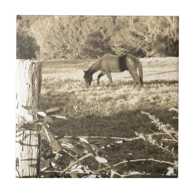 Carreau Sepia ton cheval Brown et clôture (Devant)