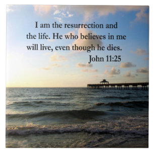 CARREAU SERENE JOHN 11:25 CONCEPTION DE SCRIPTURE