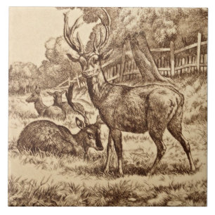 Carreau Série animalière William Wise 1879 Deer Tile Rep