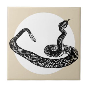 Carreau serpent de brume