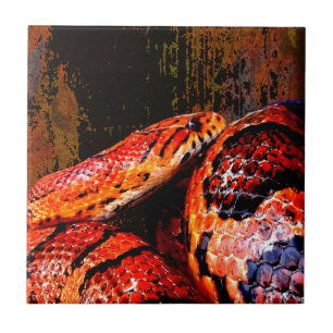 Carreau Serpent de maïs grunge lové