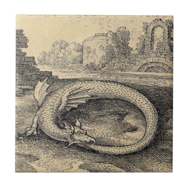 Carreau Serpent d'Ouroboros de dragon (Devant)