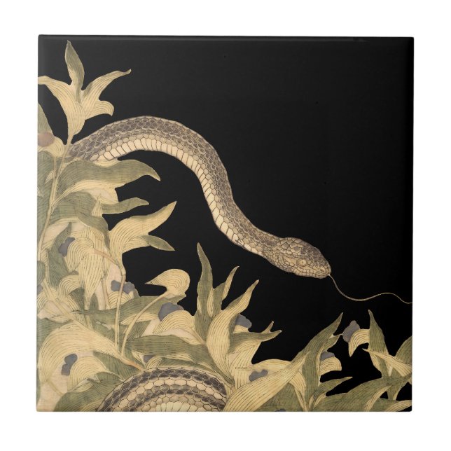 Carreau Serpent noir Vintage (Devant)