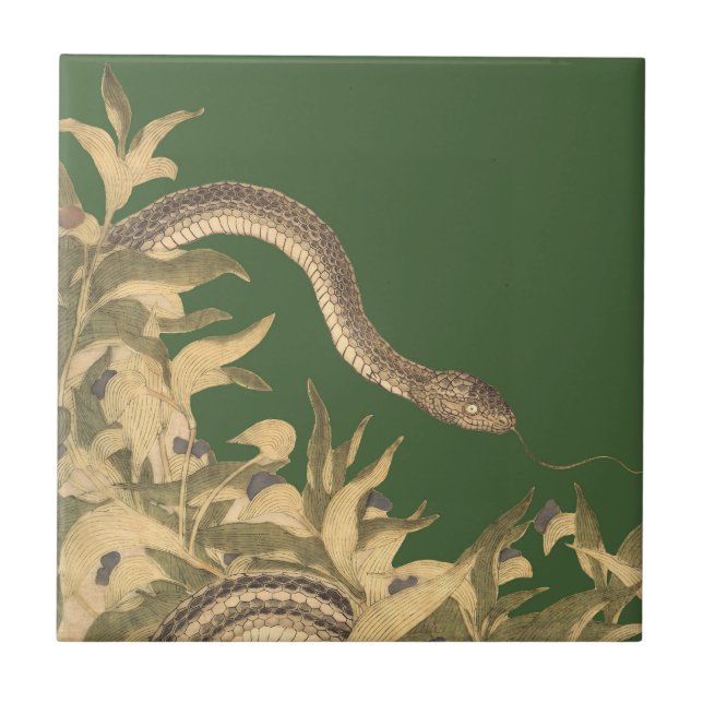 Carreau Serpent vert Vintage (Devant)