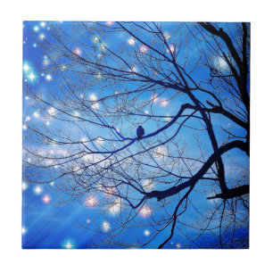 Carreau Seul Avec Les Étoiles