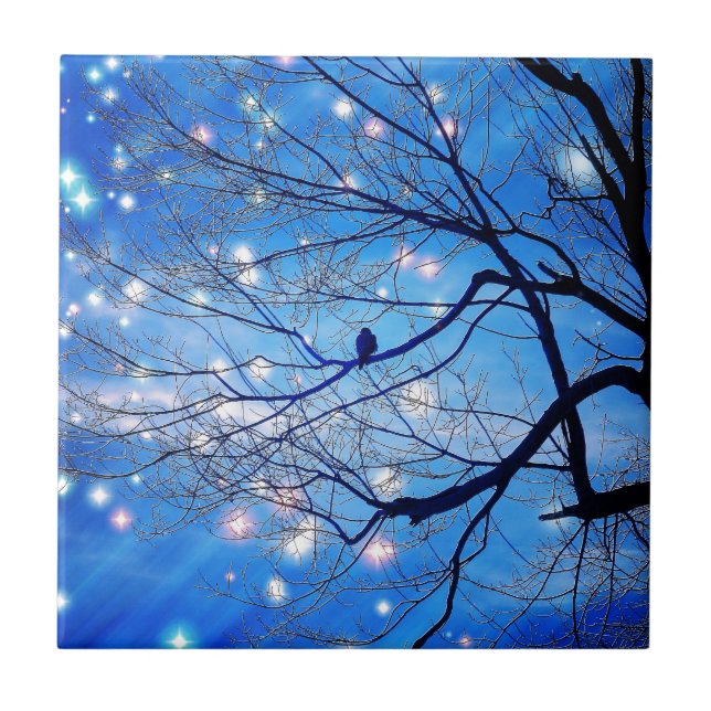 Carreau Seul Avec Les Étoiles (Devant)