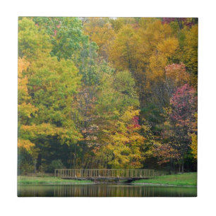 Carreau Seven Springs Fall Bridge II Autumn Paysage